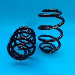 Astra J VXR Rear Springs