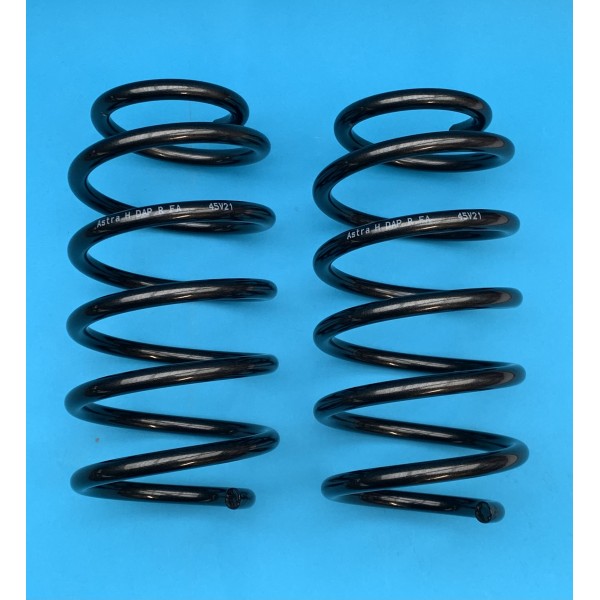 Front DAP Road Springs Pair - Astra H VXR /Astra J VXR